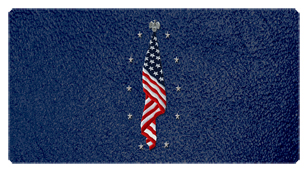 DSC700 421 SH BL Flag at Rest Shimmer Blue